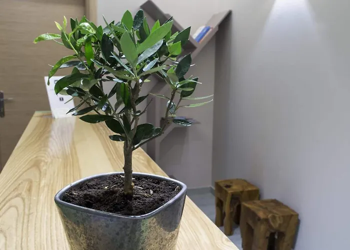 Apartman Elia Potie *